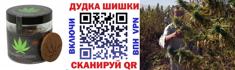 наркота  ОМГ ОМГ ONION  Cannafood конопля  Хилок 