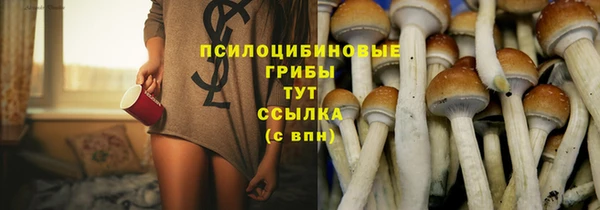 стафф Гусь-Хрустальный