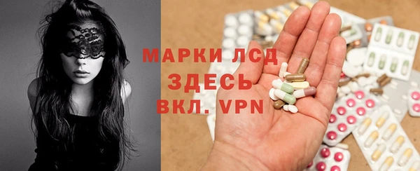 гашик Гусев