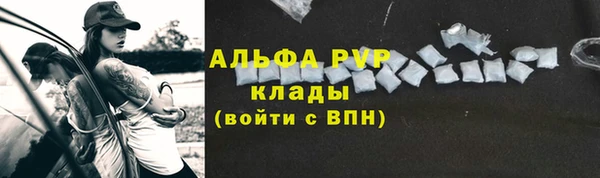 гашик Гусев