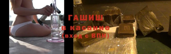 гашик Гусев