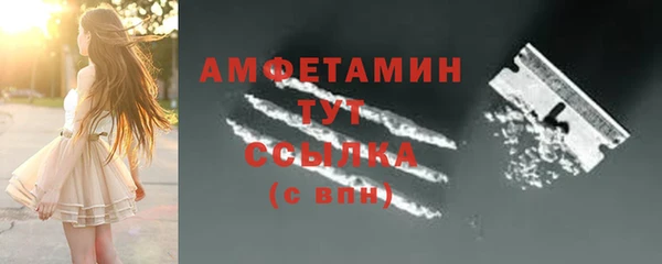 гашик Гусев