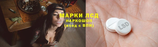 PSILOCYBIN Горняк