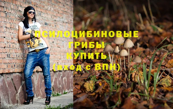 ПСИЛОЦИБИНОВЫЕ ГРИБЫ Гусиноозёрск