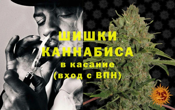 ПСИЛОЦИБИНОВЫЕ ГРИБЫ Гусиноозёрск