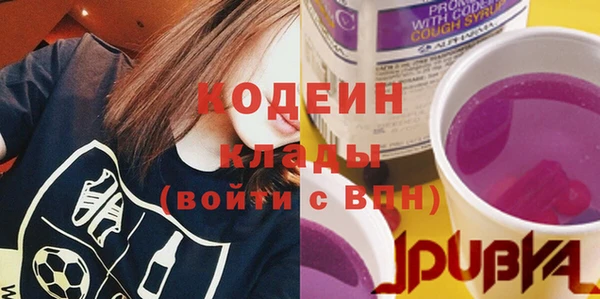 гашик Гусев