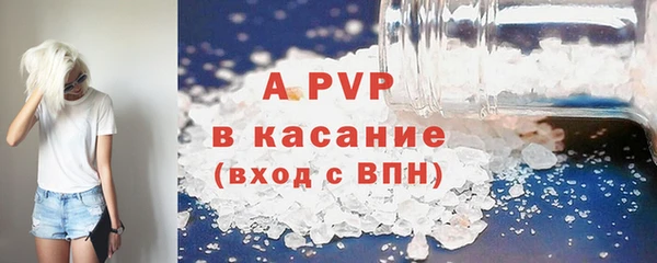 гашик Гусев