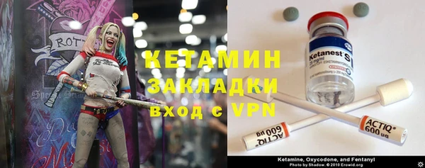 гашик Гусев