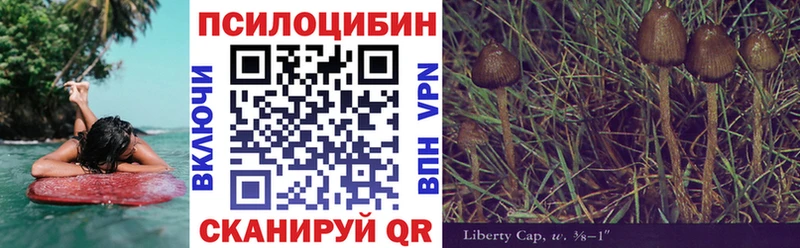 Псилоцибиновые грибы мицелий Хилок