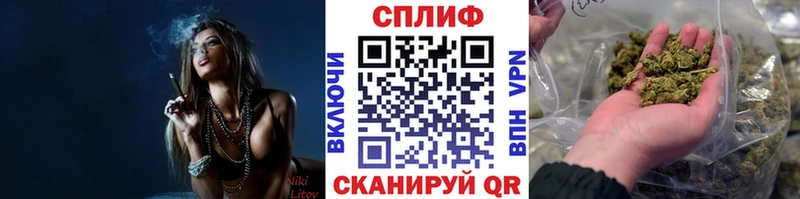 Каннабис планчик  Хилок 